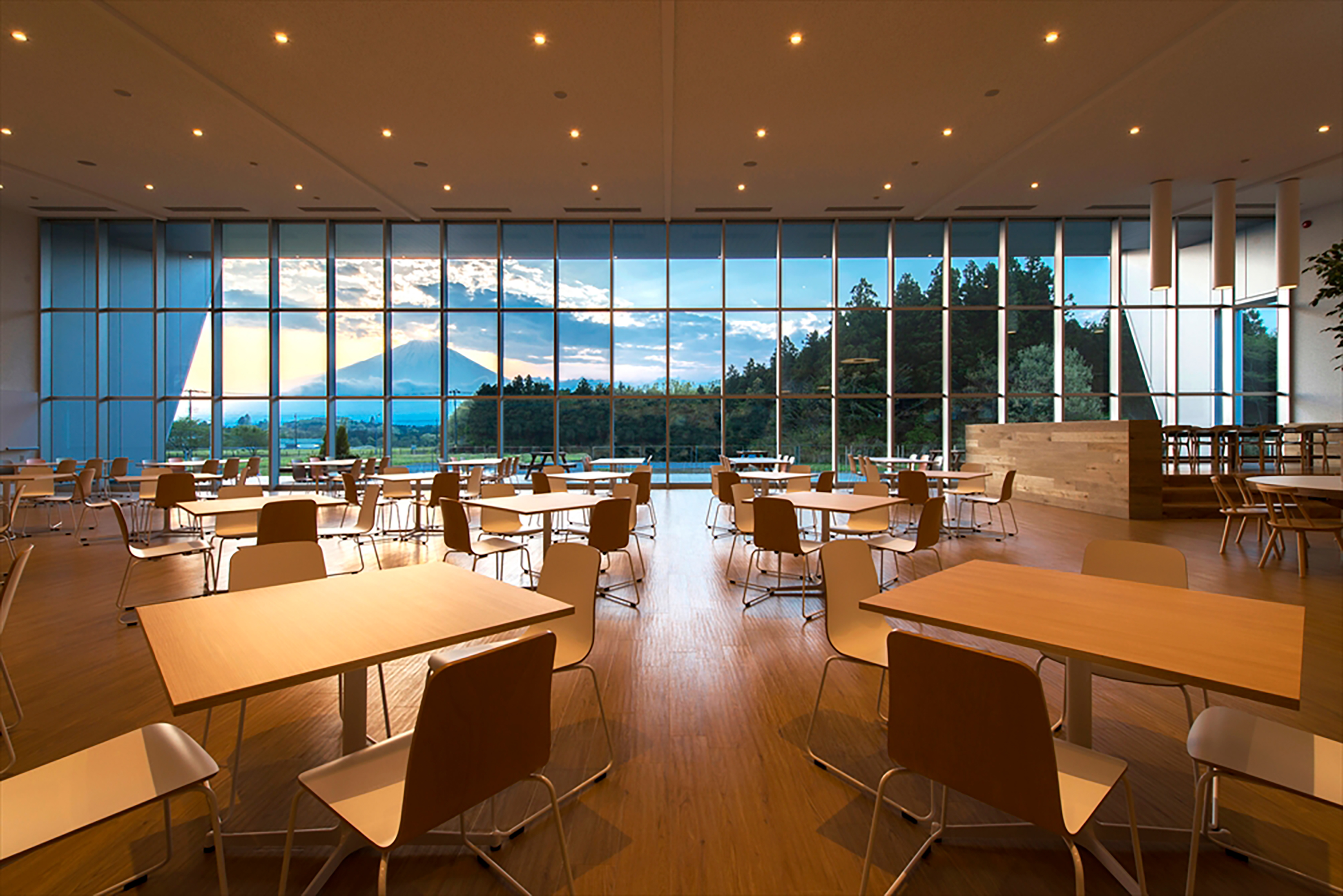 日立ハイテクサイエンス小山事業所 食堂 KV画像