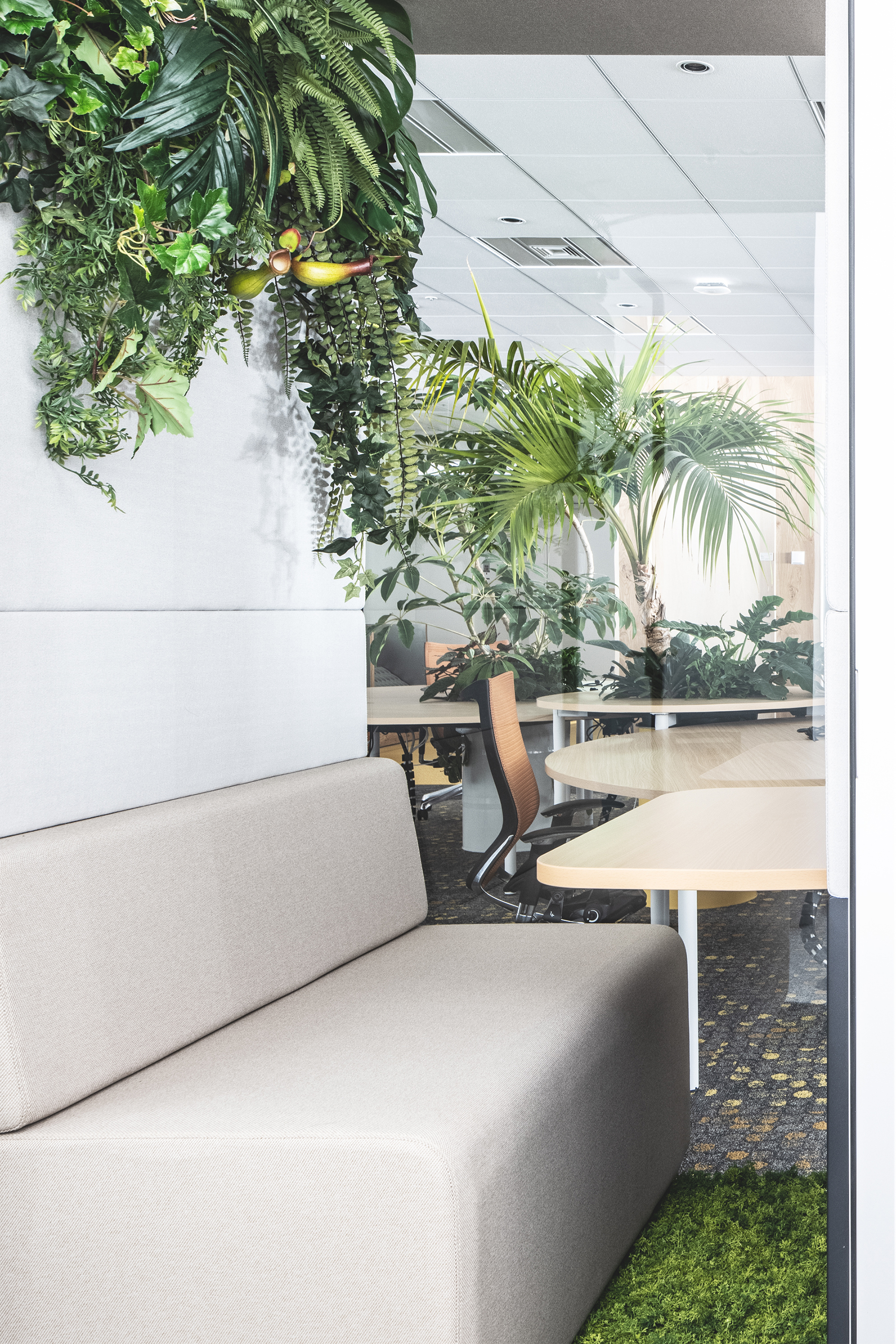 Office A (phase2) オフィス画像