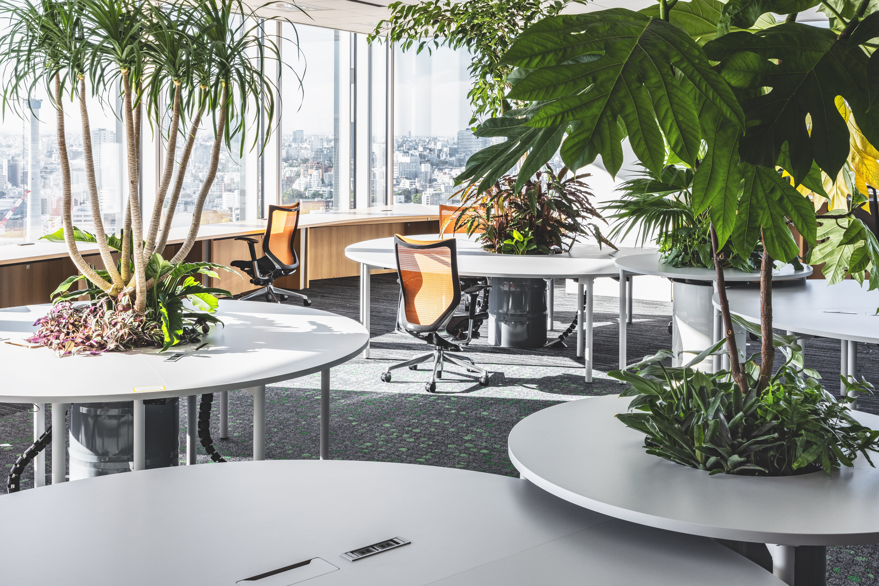 Office A (phase2) KV画像