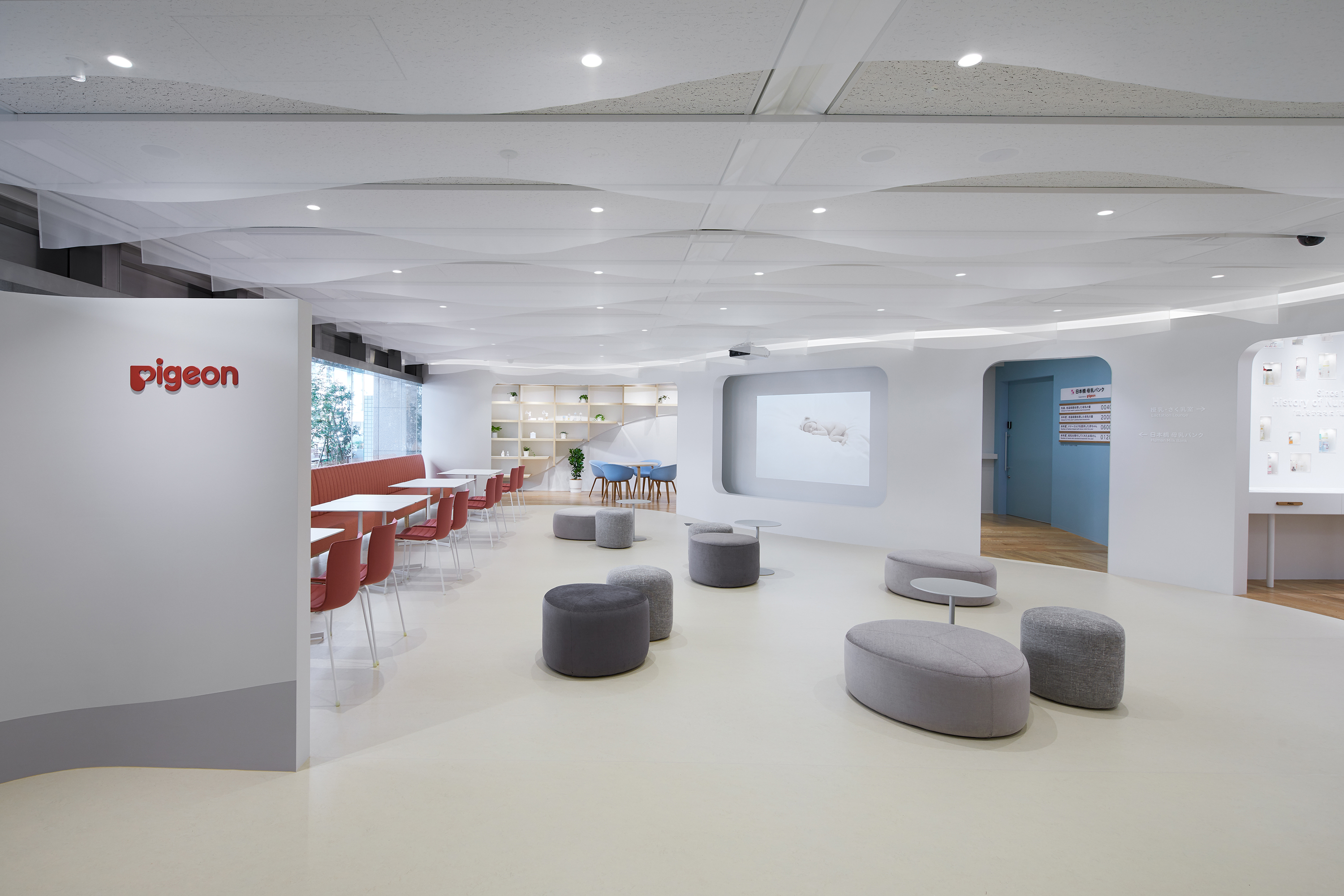 Pigeon Showroom KV画像