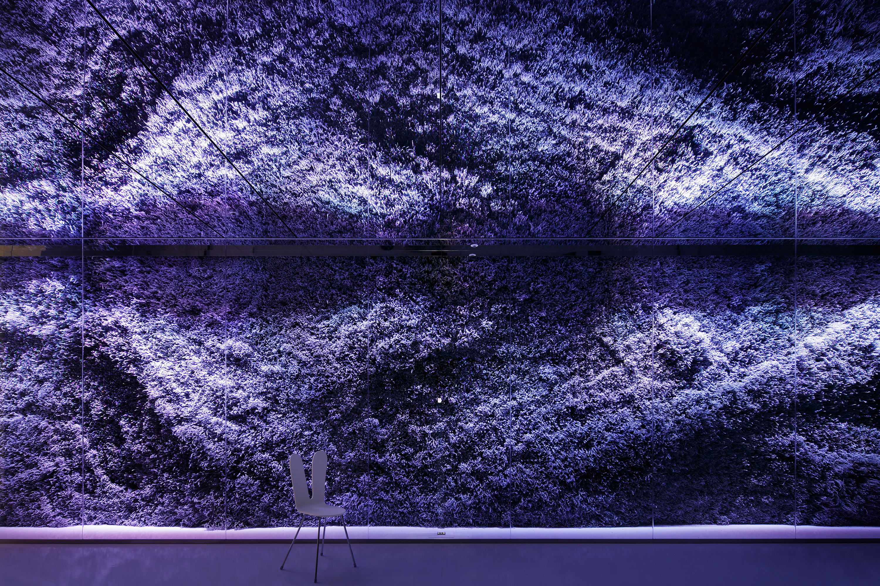 Young Living Japan Shop & Showroom KV画像