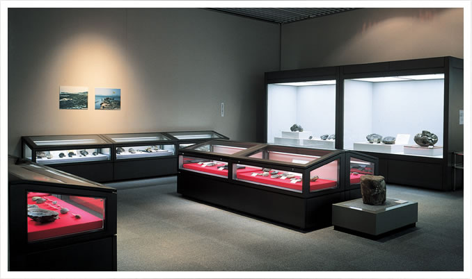 Display case for art or historical museums