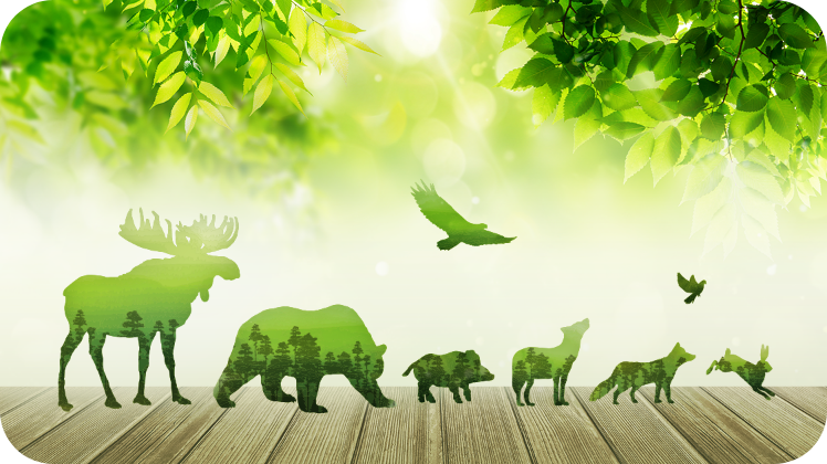 Coexistence with Nature