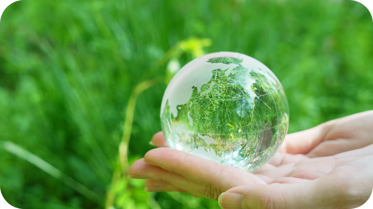 Legal Compliance and Pollution Prevention