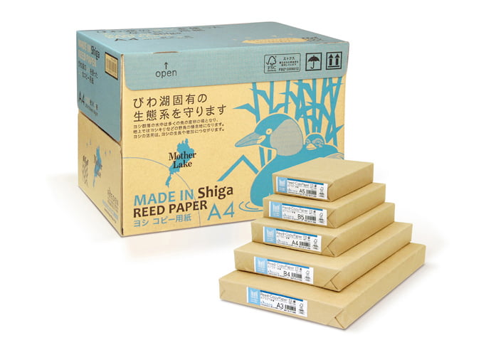 Reed paper