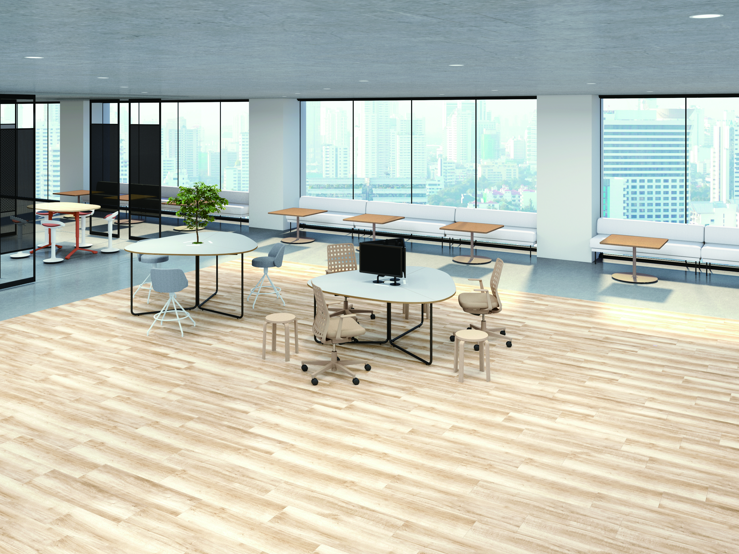 Scene Image
