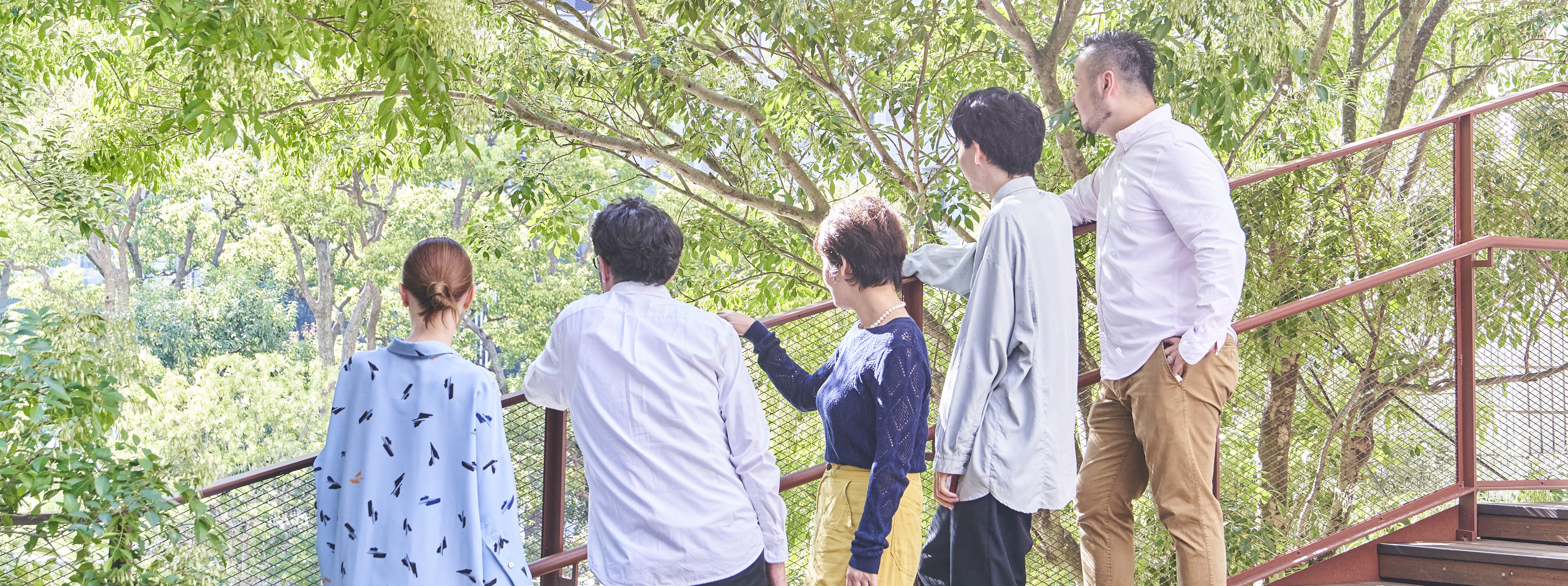 Over Centuries of Creativities