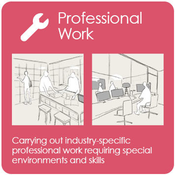 Professional Work