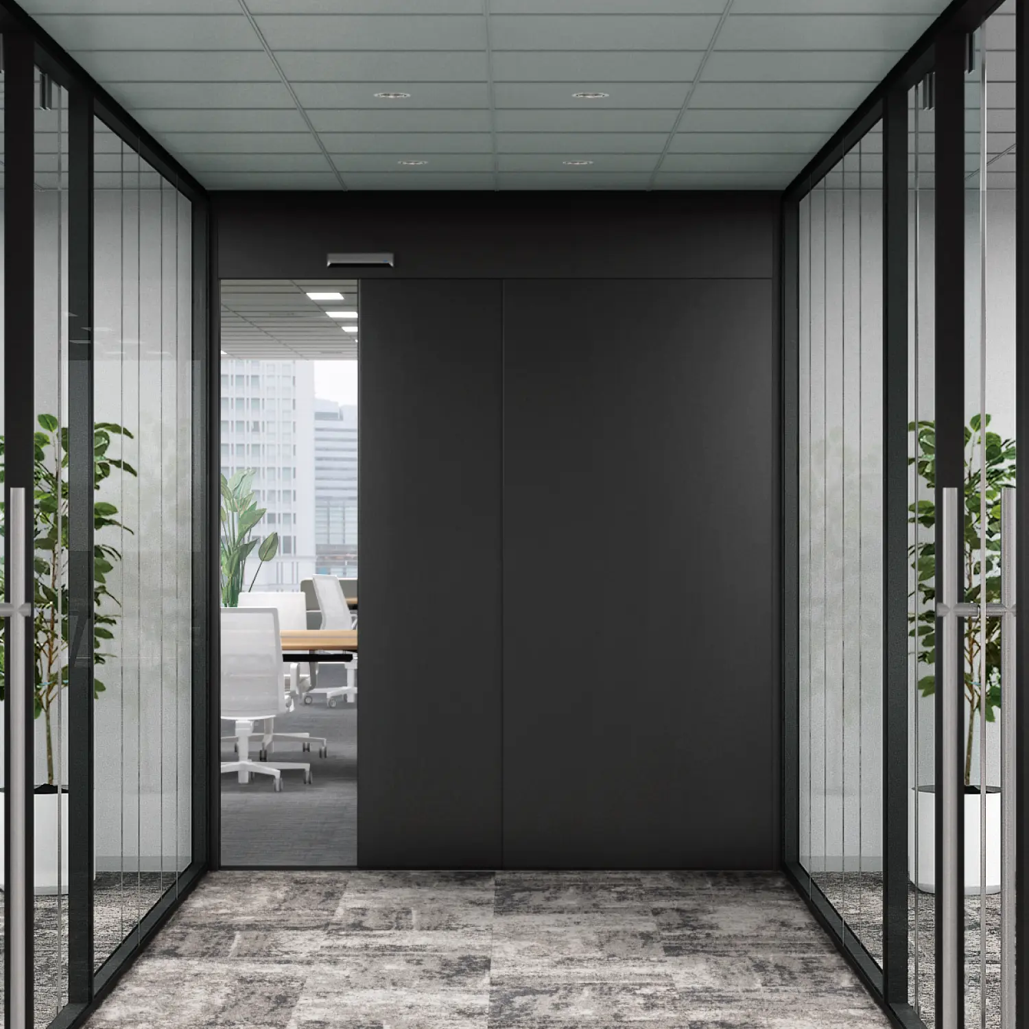 Auto Door