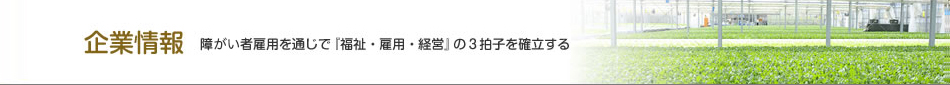 企業情報　障がい者雇用を通じで『福祉・雇用・経営』の３拍子を確立する
