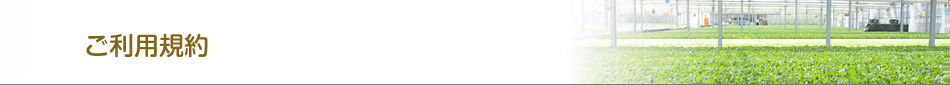 ご利用規約