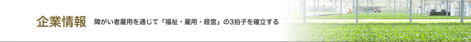 企業情報　障がい者雇用を通じで『福祉・雇用・経営』の３拍子を確立する