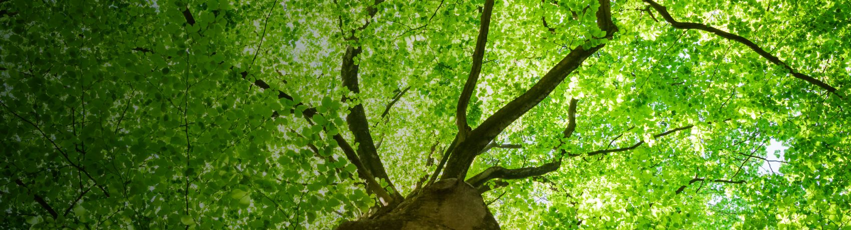 コクヨのサステナビリティ