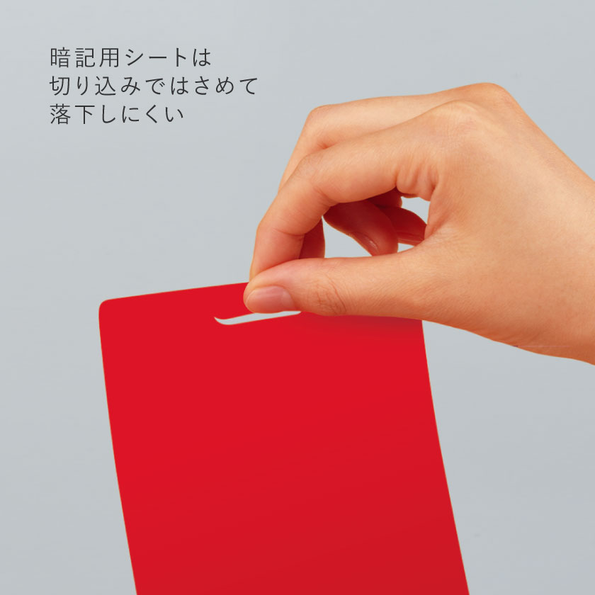 Memorization Pen and Sheet Set