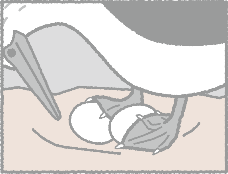 アオアシカツオドリ