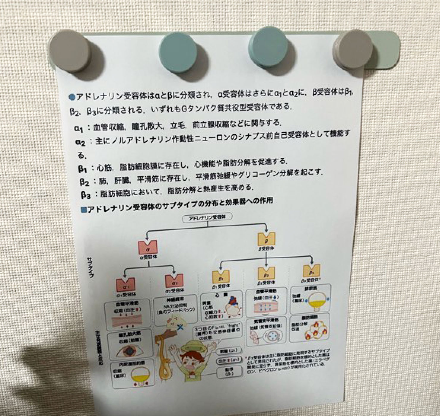 画像:ユーザーによる使用例