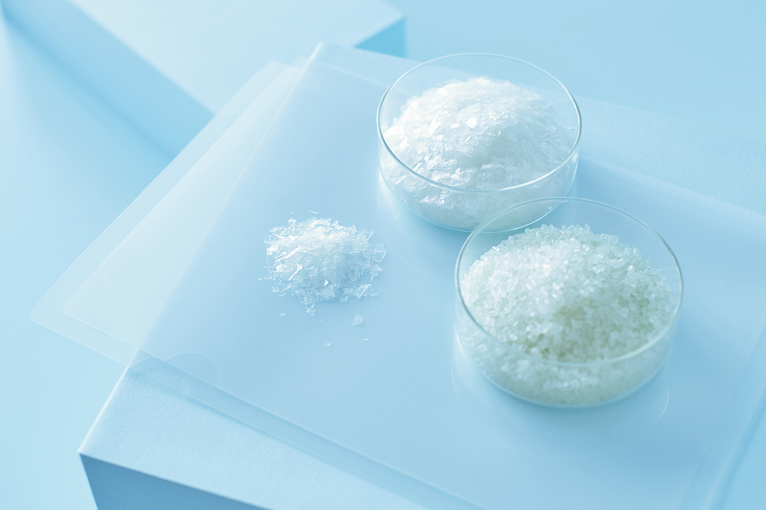 クリアホルダーとそれを細かく裁断したもの