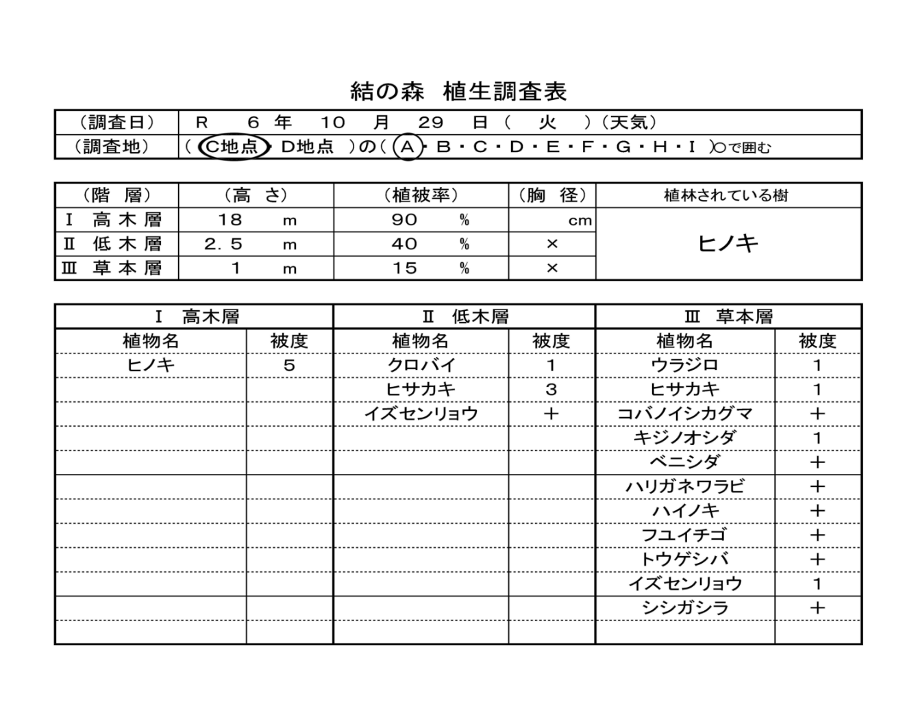植生調査票C地点のA