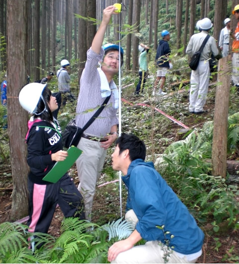 植物の出現種数