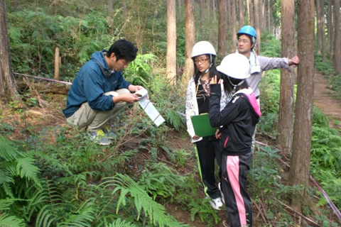 植物の出現種数