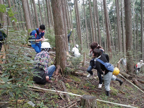 植物の出現種数