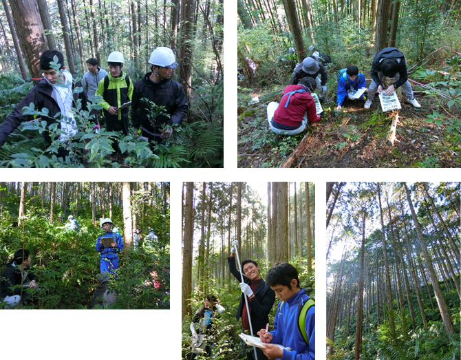 調査結果まとめ