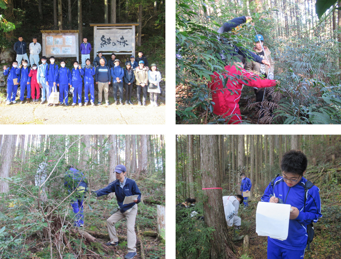 調査結果まとめ