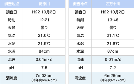 清流度調査結果