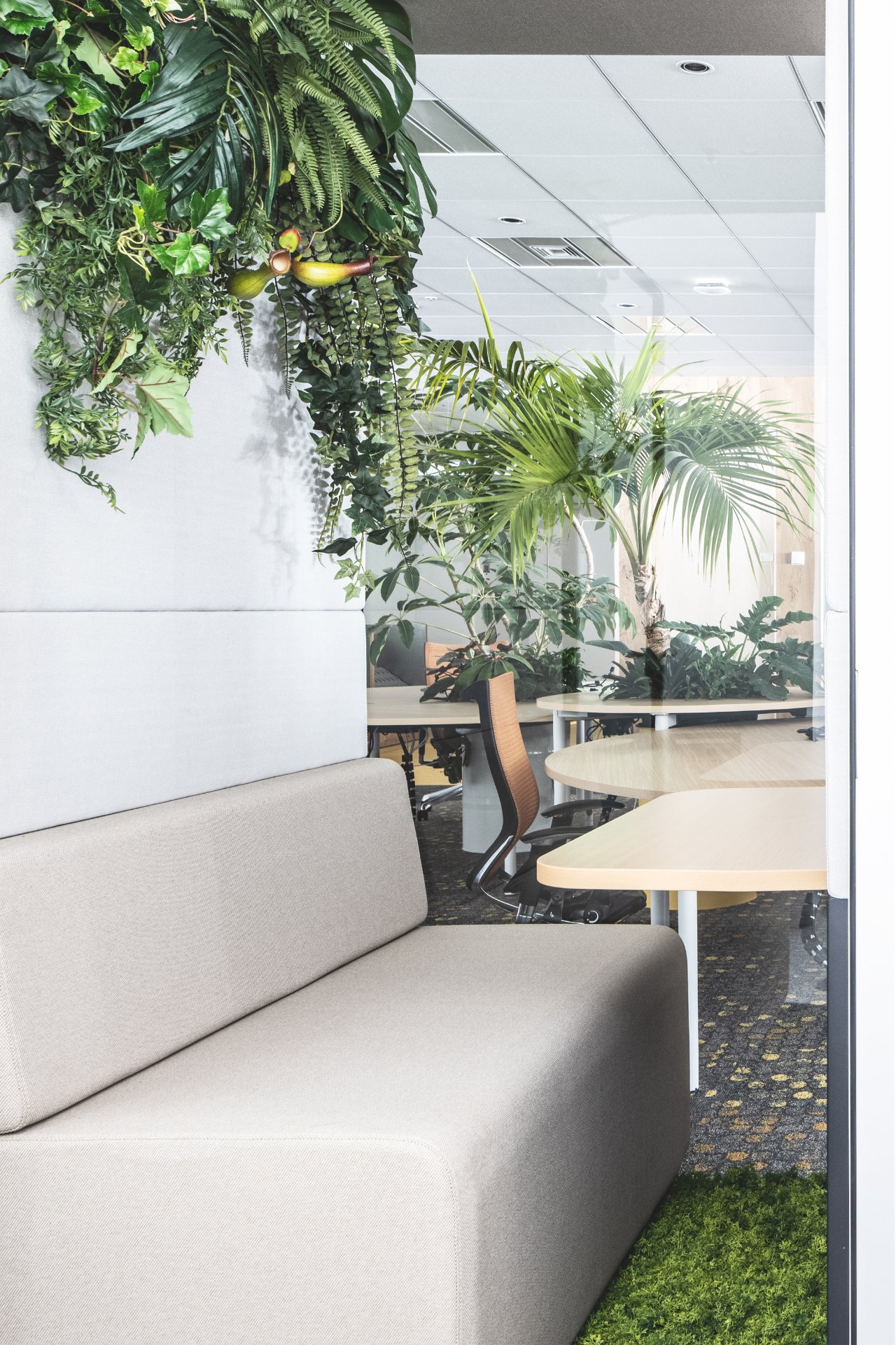 Office A (phase2) オフィス画像